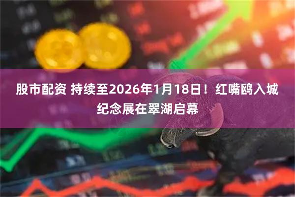 股市配资 持续至2026年1月18日！红嘴鸥入城纪念展在翠湖启幕
